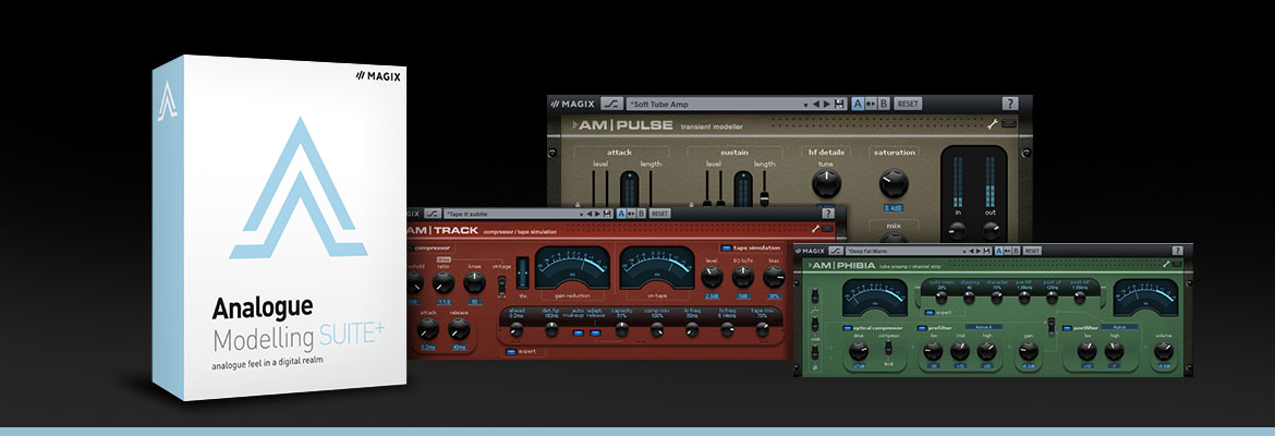 Analogue Modelling Suite Analogue Modelling Suite