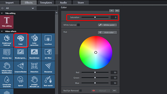 Tint saturation in the "Color" dialog "Color" effect dialog