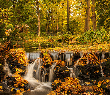 4K editing displayed using a forest image Display of a high-resolution forest image for 4K video editing