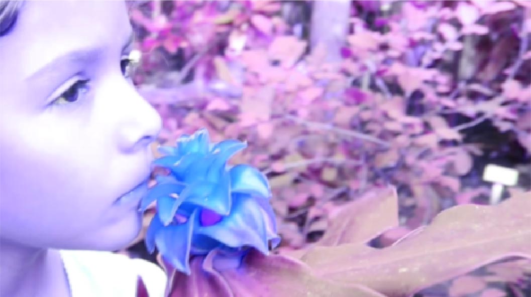 "Shift" color filter in Movie Edit Pro "Shift" color filter