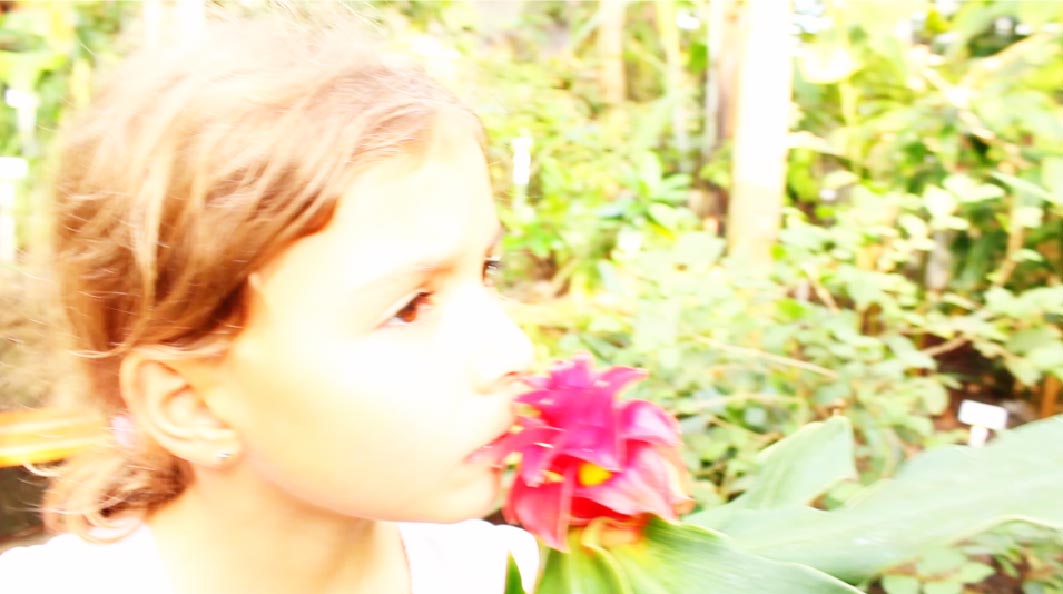 "Fresh" movie look in Movie Edit Pro "Fresh" movie look