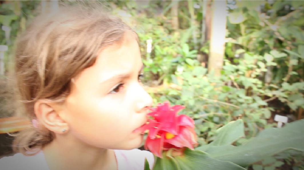 "Vignetting" movie look in Movie Edit Pro "Vignetting 02" movie look