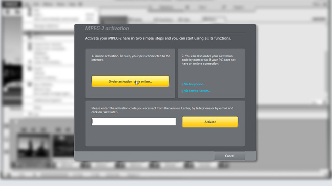 Online activation from within the program