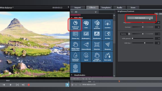1-click tonal value optimization Set brightness and contrast using auto exposure