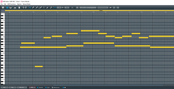MIDI editor MIDI notes in the MIDI editor