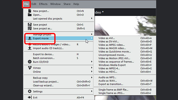 Change video format List of all video formats