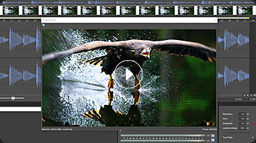 Perfect video sound Perfect video sound