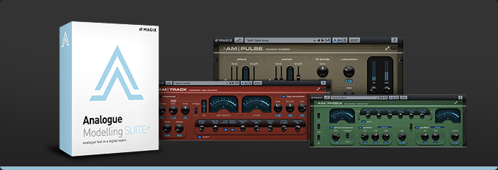 Analogue Modelling Suite Analogue Modelling Suite