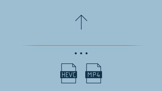 Format support for export Format support for export