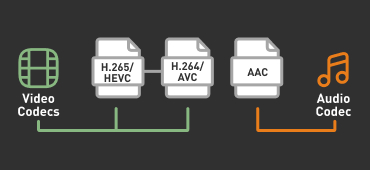 The codec is the "language" of the video, which contains the information used to combine bits and bytes into a video image. The codec is the "language" of the video, which contains the information used to combine bits and bytes into a video image.