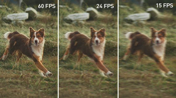 The frame rate defines the number of images displayed per second. The frame rate defines the number of images displayed per second.
