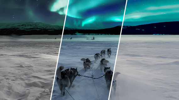 Integrate your own camera and effect LUTs Integrate your own camera and effect LUTs