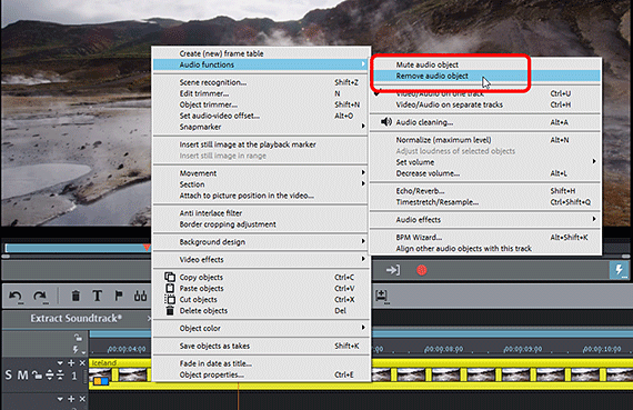Deleting the sound from the video Removing the sound track from the video