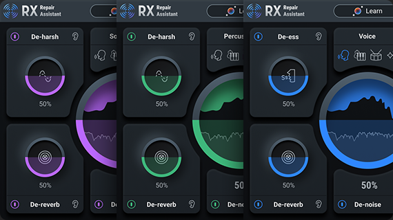 iZotope RX 10 Elements iZotope RX 10 Elements