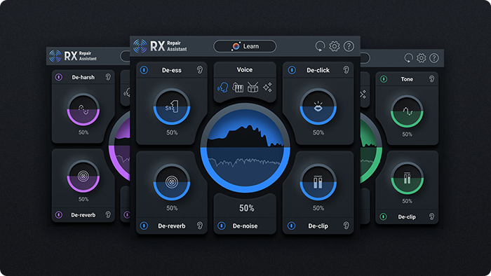 iZotope RX 10 Elements iZotope RX 10 Elements